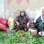 Herbs from Tire Vegetable Bazaar in Izmir